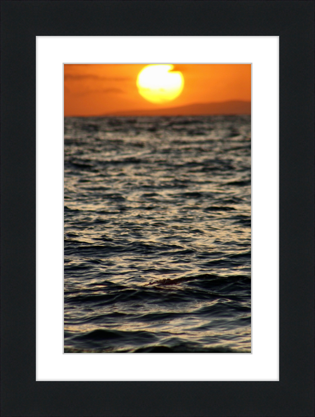 surfboard sunset