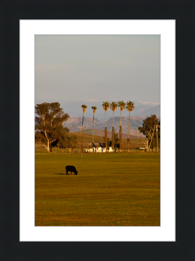 distant snowcaps