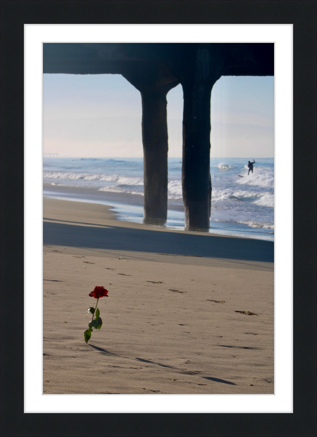 rose surf