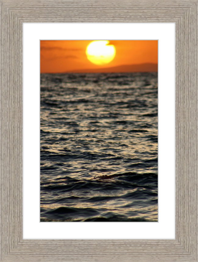 surfboard sunset