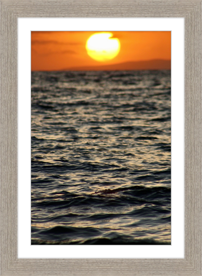 surfboard sunset
