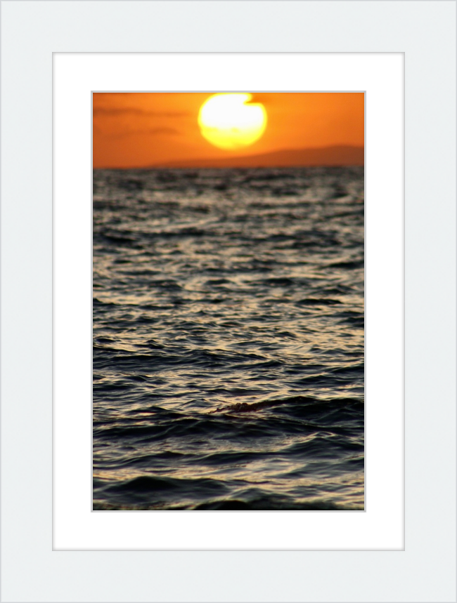 surfboard sunset