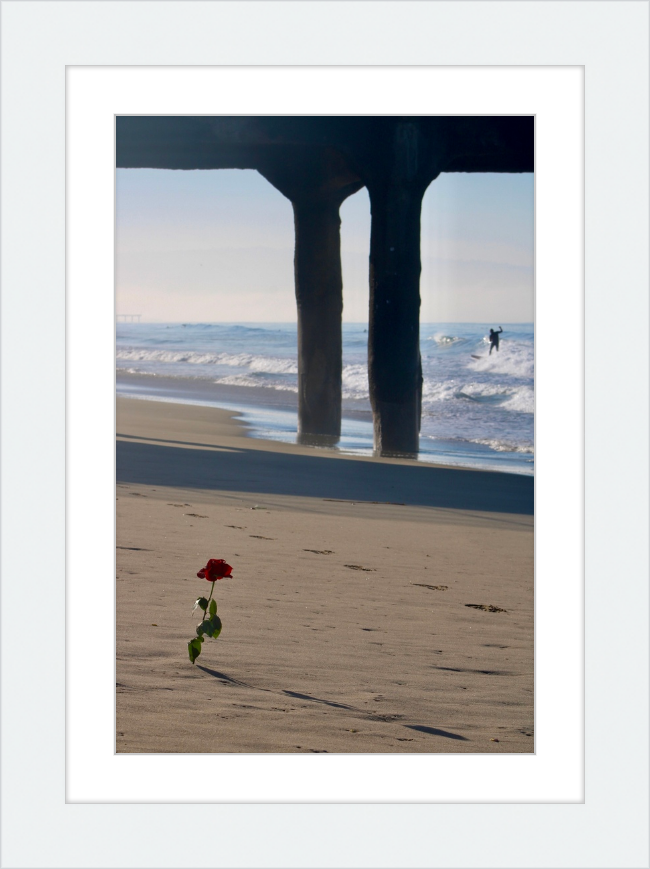 rose surf