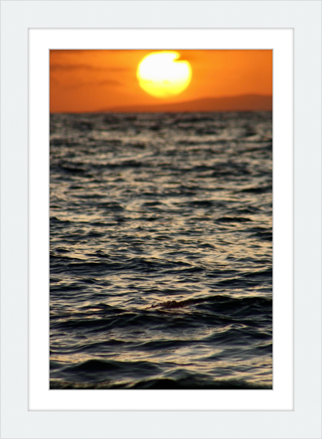surfboard sunset