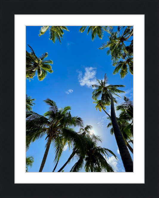 maldivian palms
