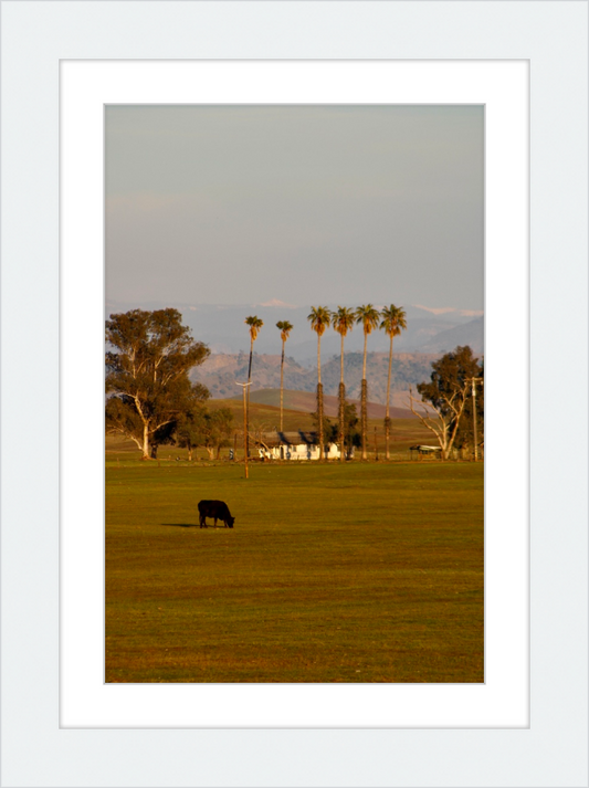 distant snowcaps